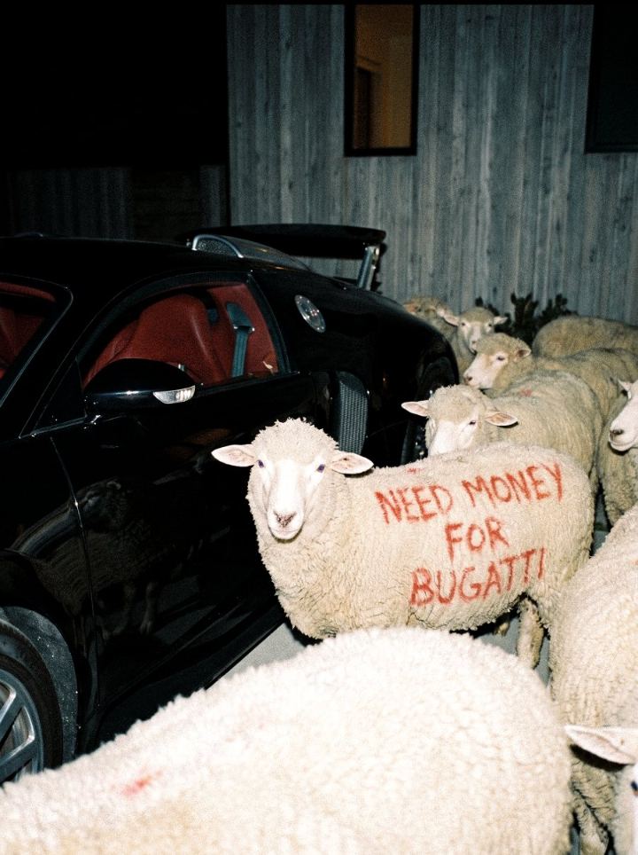 Sheep beside a sports car at night